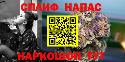 мдпв Донской