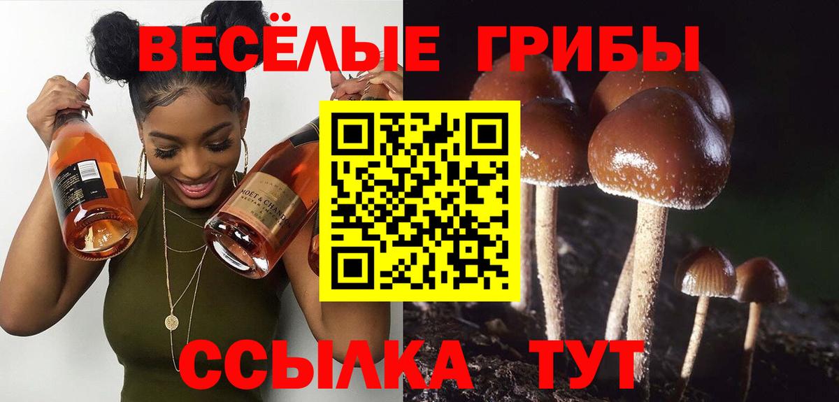 Псилоцибиновые грибы Cubensis Лесосибирск