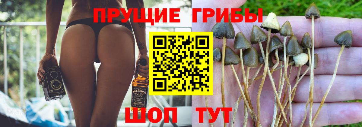 Лесосибирск  Галлюциногенные грибы мухоморы  Вход с VPN 
